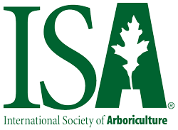 Paul The Tree Climber | Arborist, Tree Service, Tree Removal, Tree Trimming | Sacramento County | ISA cert