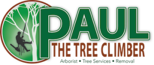 Paul The Tree Climber | Arborist, Tree Service, Tree Removal, Tree Trimming | Nevada County | logo