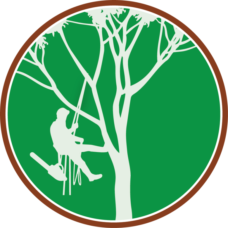 Paul The Tree Climber Icon | Paul The Tree Climber