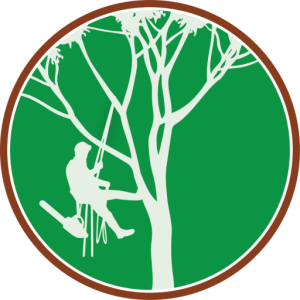 Paul The Tree Climber | Arborist, Tree Service, Tree Removal, Tree Trimming | Nevada County | logo